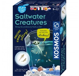 Smagaus mokslo rinkinys "Saltwater Creatures"