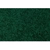 Žalias kilimas - SOFFI
