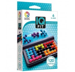 Loginis žaidimas ''IQ-Fit''
