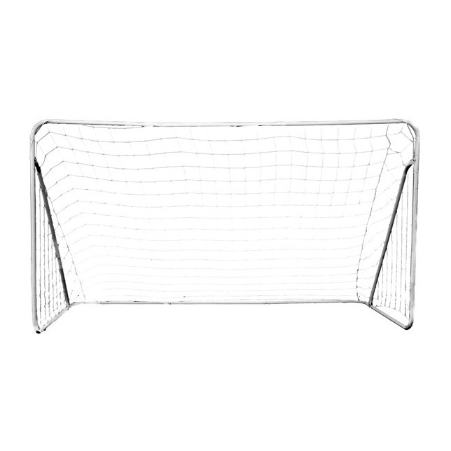 Futbolo vartai - Master Goal / 290x165 cm
