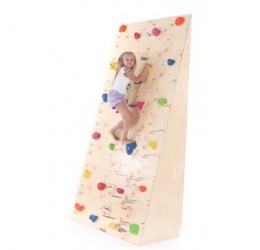 Laipiojimo sienelė - Climbing wall 2